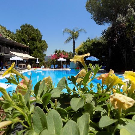 ניקיאנה Lefkas Blue Hotel מראה חיצוני תמונה